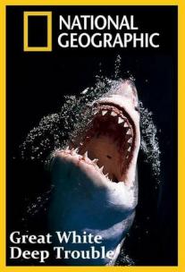 NGS: Great White. Deep Trouble