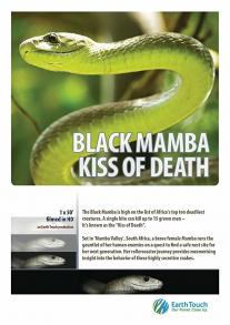 Black Mamba Kiss of Death