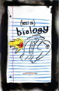 (Notes on) Biology