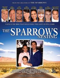 The Sparrows: Nesting