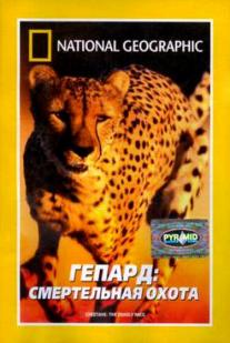 Cheetahs: The Deadly Race