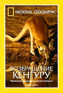 National Geographic: Kangaroo comeback