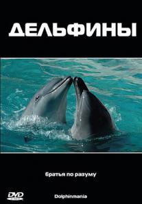 Dolphinmania
