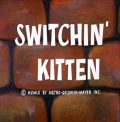 Switchin' Kitten