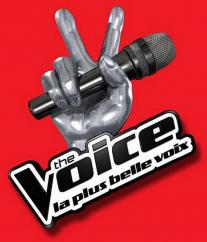 The Voice: La plus belle voix