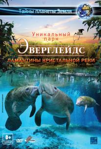 Adventure Everglades 3D: The Manatees of Crystal River