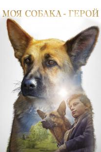 Shepherd: The Story of a Jewish Dog