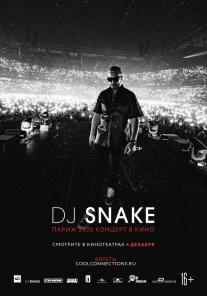 DJ Snake — The Concert In Cinema