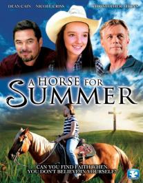 A Horse for Summer