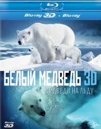Polar Bears: A Summer Odyssey