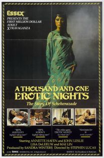 A Thousand and One Erotic Nights