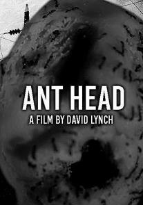 Ant Head