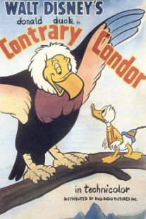 Contrary Condor