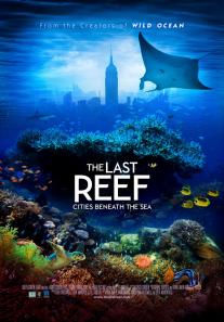 Last Reef 3D, The