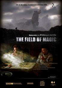 The Field of Magic