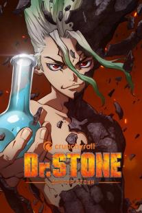 Dr. Stone