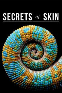 Secrets of Skin